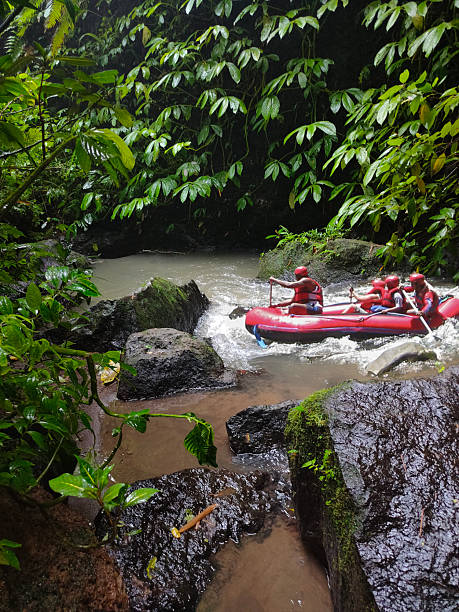 istockphoto 2206353914 612x612