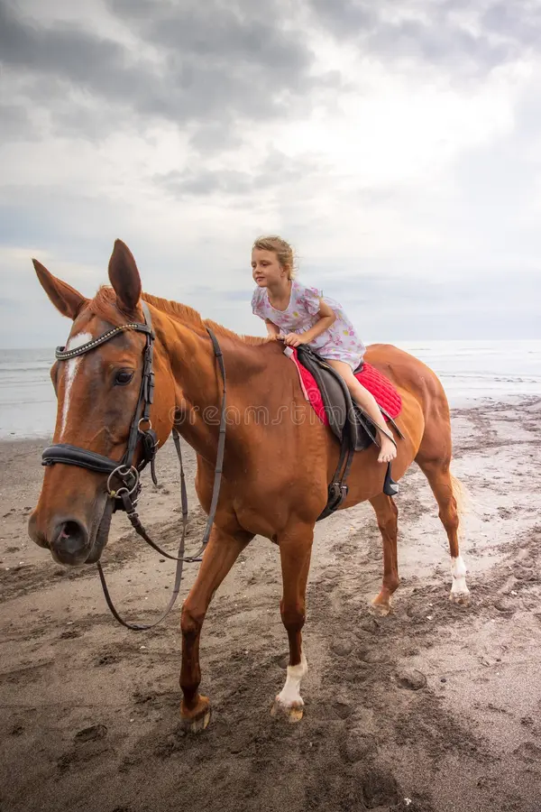pretty little girl riding horse beach happy childhood sunset time sea outdoor activities vacation concept bali cloudy 205337059